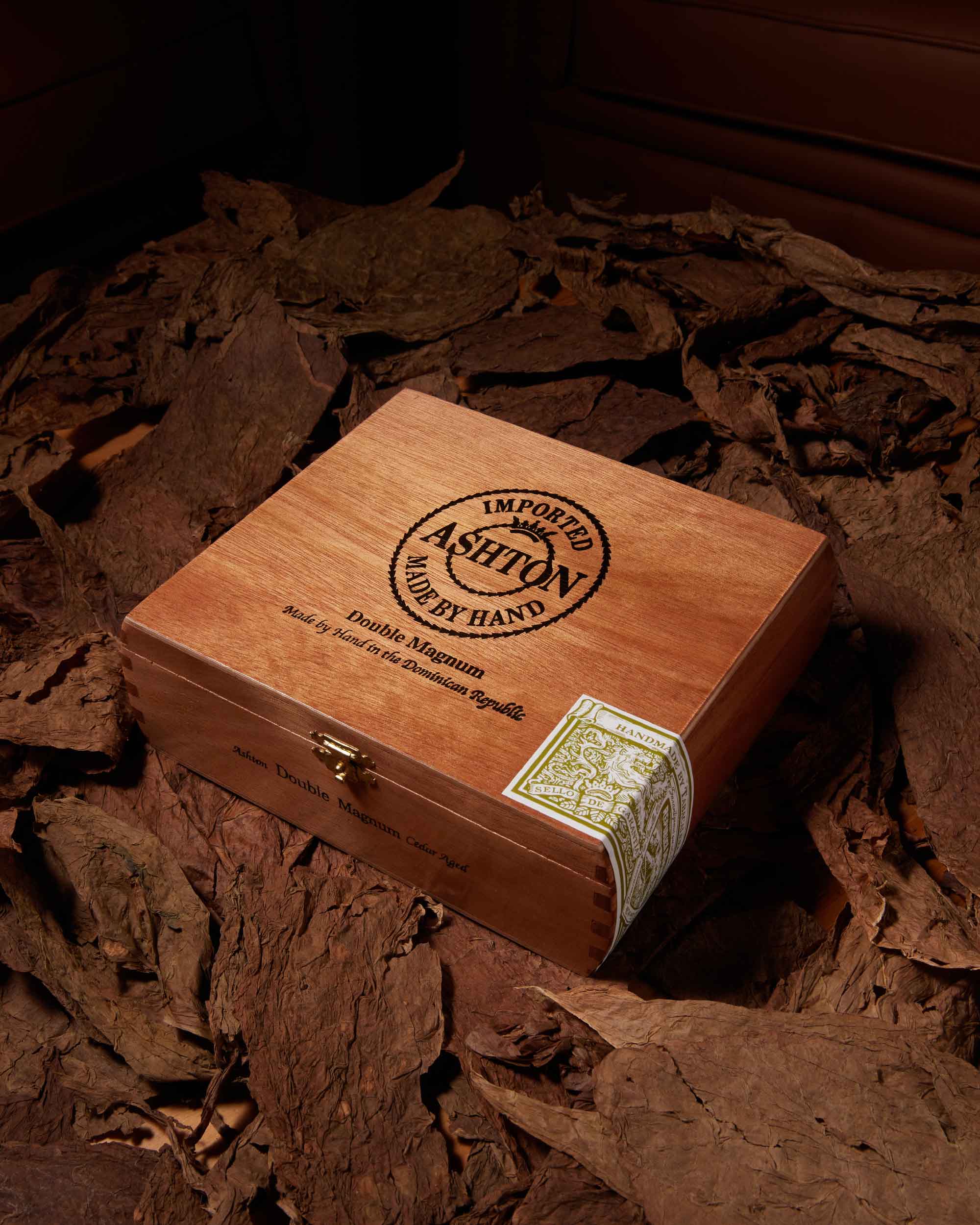Ashton Magnum Robusto