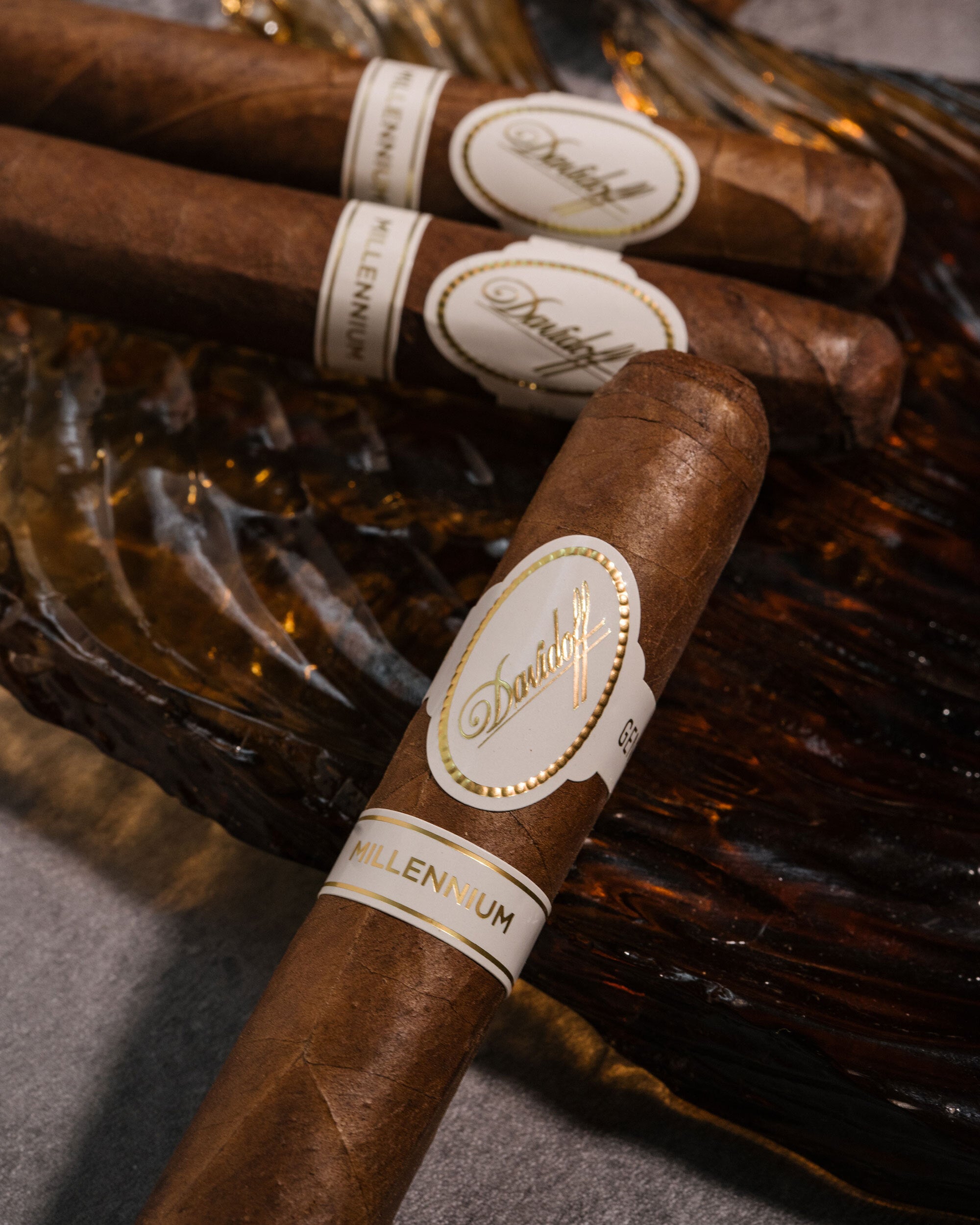 Davidoff x Hoyo de Monterrey Robusto Cigar Bundle
