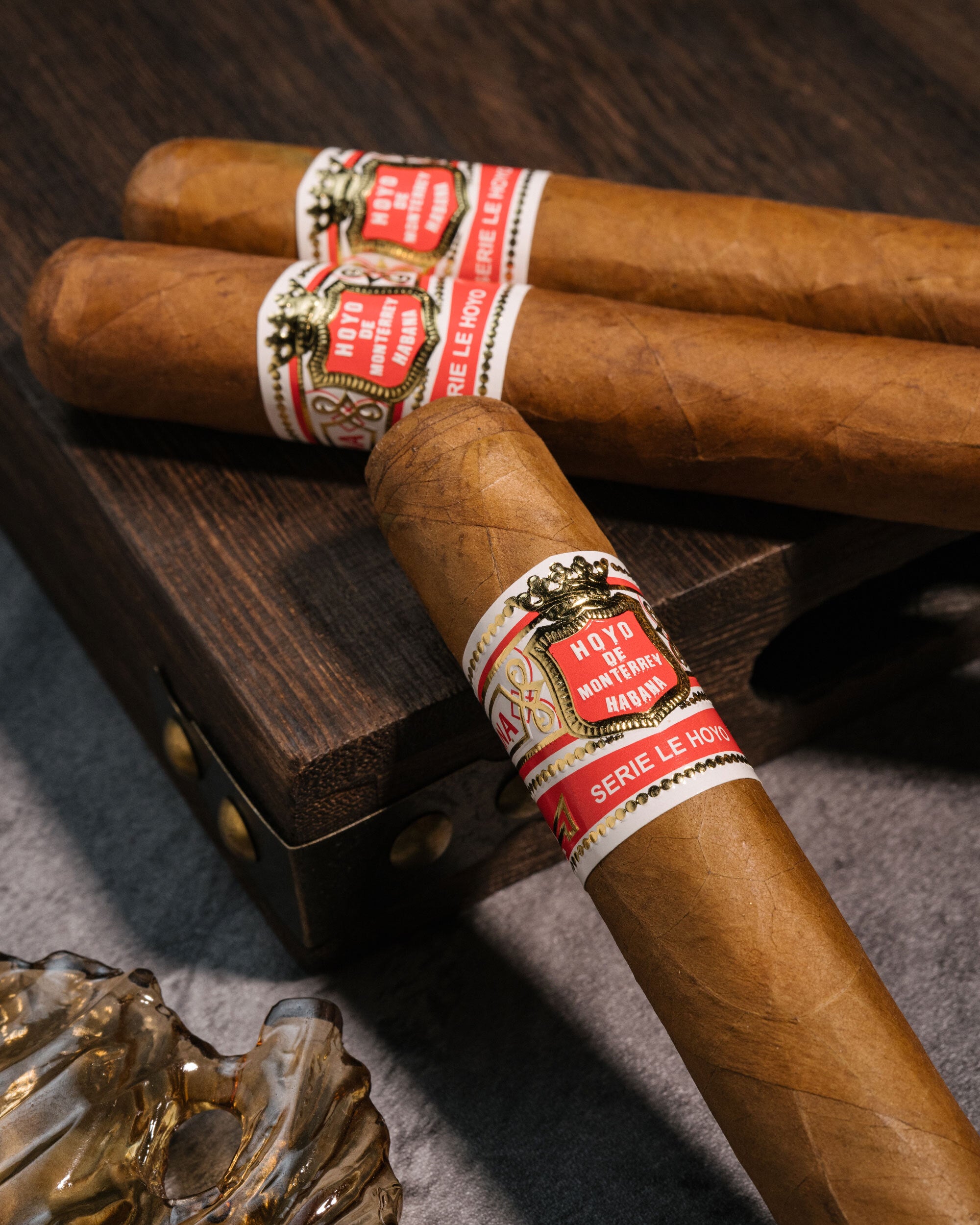 Davidoff x Hoyo de Monterrey Robusto Cigar Bundle