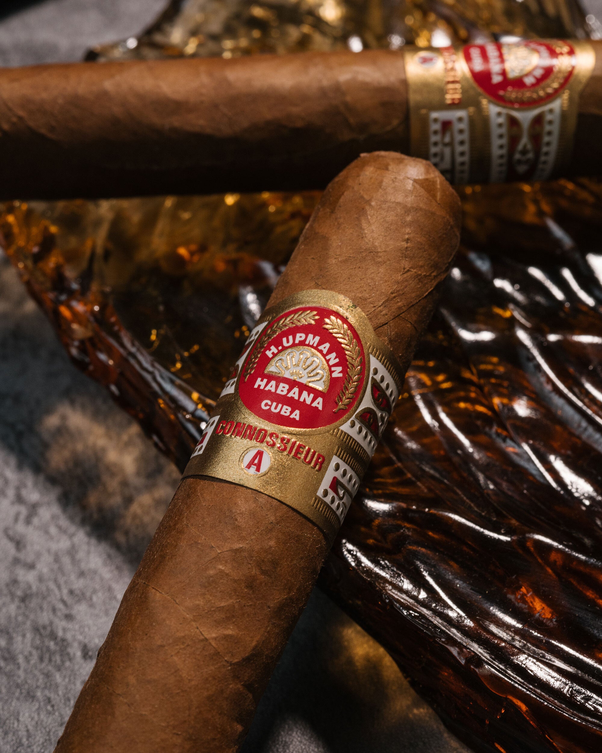Davidoff x H.Upmann Robusto Cigar Bundle