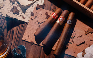 Vintage Cigars: A Collector's Guide.  Exploring the world of rare and valuable aged cigars.