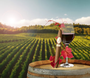 Davidoff Grand Cru Diademas Finas x World Pinot Noir Day