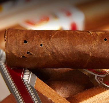 Cigar 101 - Saving your cigars from bugs