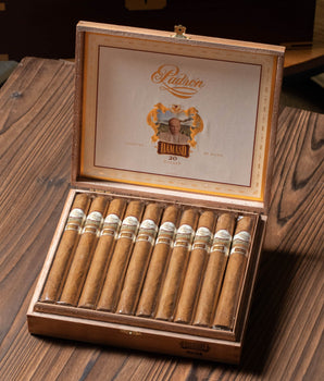 Padrón Dámaso No. 17 - Churchill