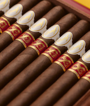 Davidoff Year of the Snake Limited Edition 2025