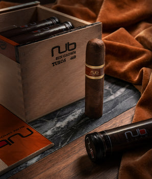 奥利瓦努布日晒460