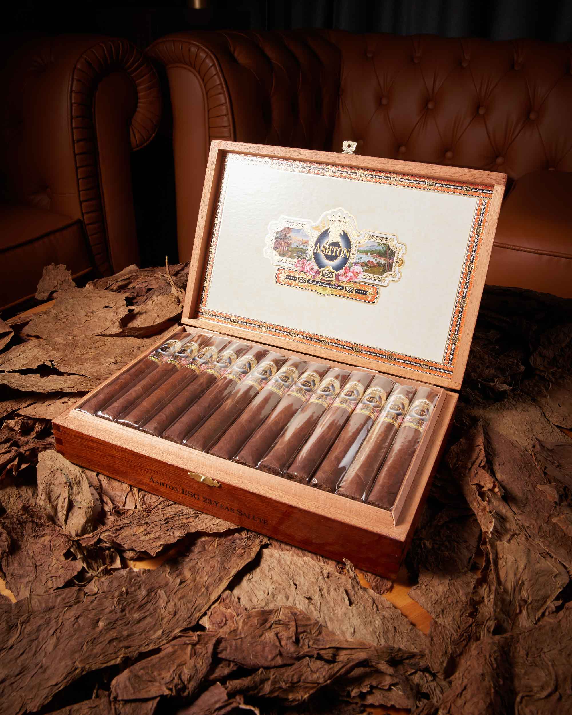 Ashton ESG 23 Year Salute
