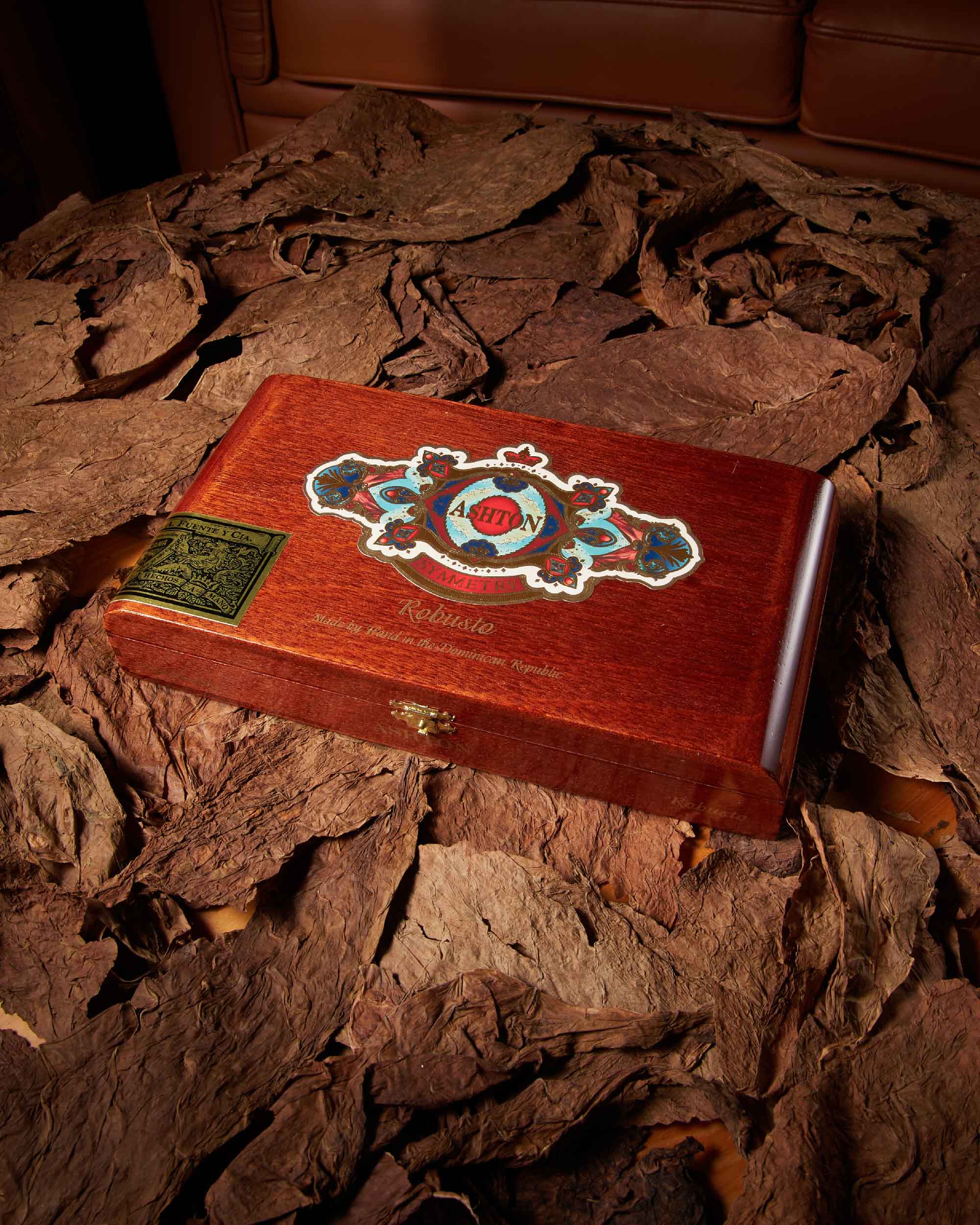 Ashton Symmetry Robusto