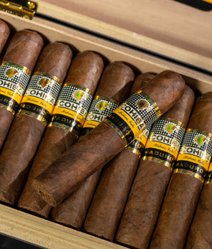 Cohiba Magicos Maduro 5 (2019 Vintage) - nextCIGAR