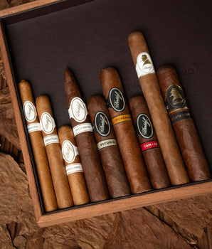 Davidoff Premium Gift Selection