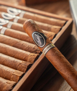 Davidoff Escurio Gran Toro Cigar Bundle (Uncut)