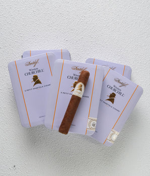 Davidoff Winston Churchill Petit Panetela