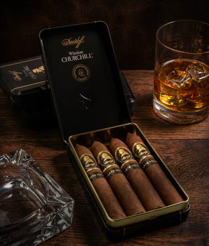 Davidoff Winston Churchill The Late Hour Belicoso