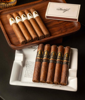 Davidoff Winston Churchill Robusto Bundle