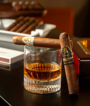 Davidoff Winston Churchill Robusto Bundle