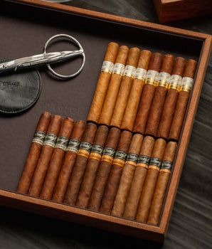 Davidoff Primeros Assortment Bundle