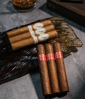Davidoff x Partagás Robusto Cigar Bundle