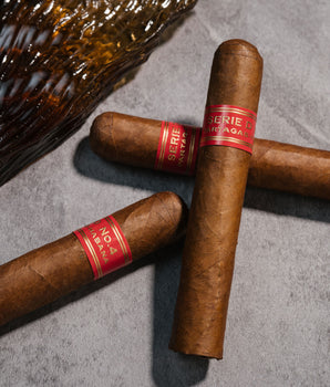 Davidoff x Partagás Robusto Cigar Bundle