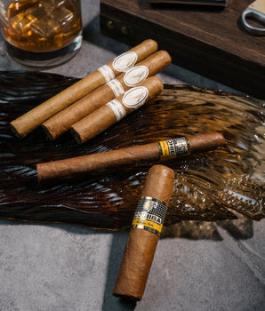 Davidoff x Cohiba Corona Cigar Bundle