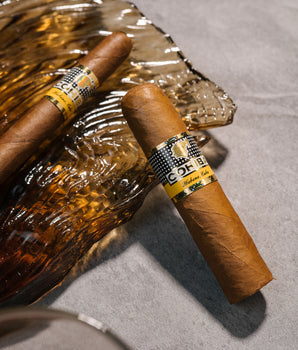 Davidoff x Cohiba Corona Cigar Bundle