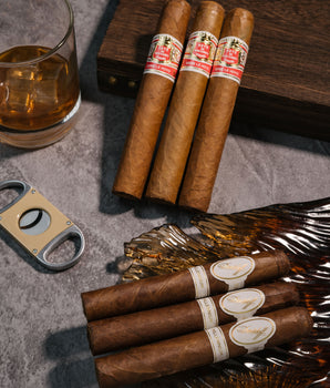 Davidoff x Hoyo de Monterrey Robusto Cigar Bundle