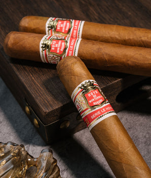 Davidoff x Hoyo de Monterrey Robusto Cigar Bundle