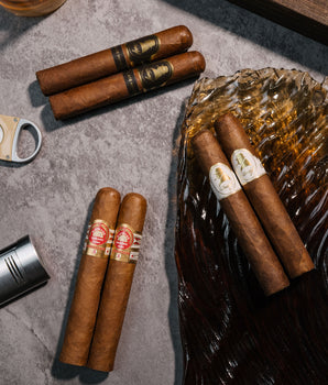 Davidoff x H.Upmann Robusto Cigar Bundle