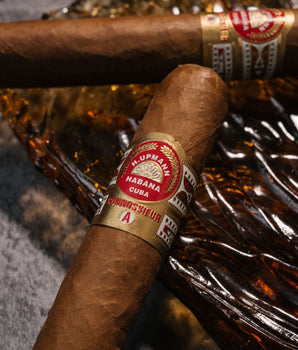 Davidoff x H.Upmann Robusto Cigar Bundle
