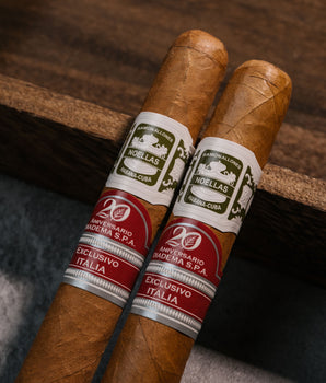 Davidoff x Ramón Allones Rare & Refined Cigar Bundle