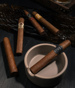 New World Mini Bundle B