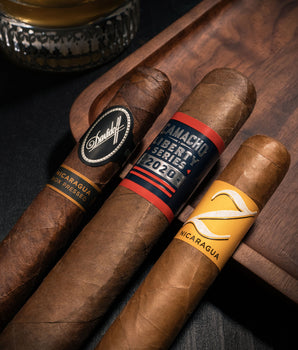 New World Mini Bundle D