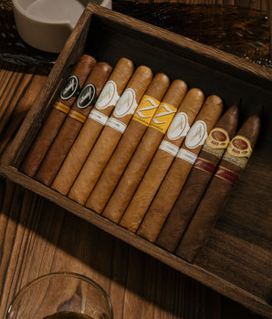 不给糖就捣蛋精选组合 (10支装)