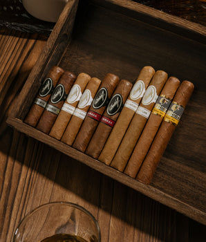 惊悚组合包 (10支装)