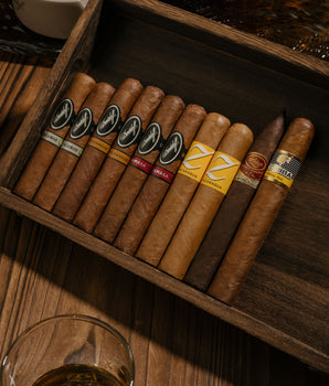 惊声精选包 (10支装)