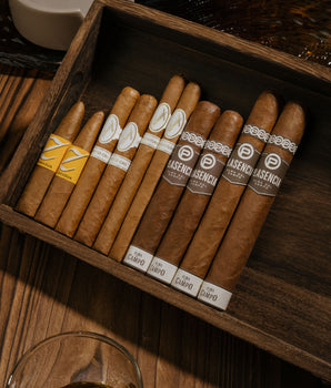 恐怖组合包 (10支装)