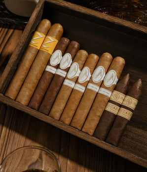 守墓人宝藏 (10支装)