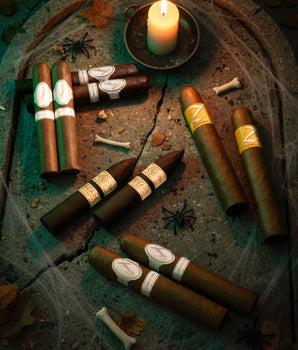 守墓人宝藏 (10支装)