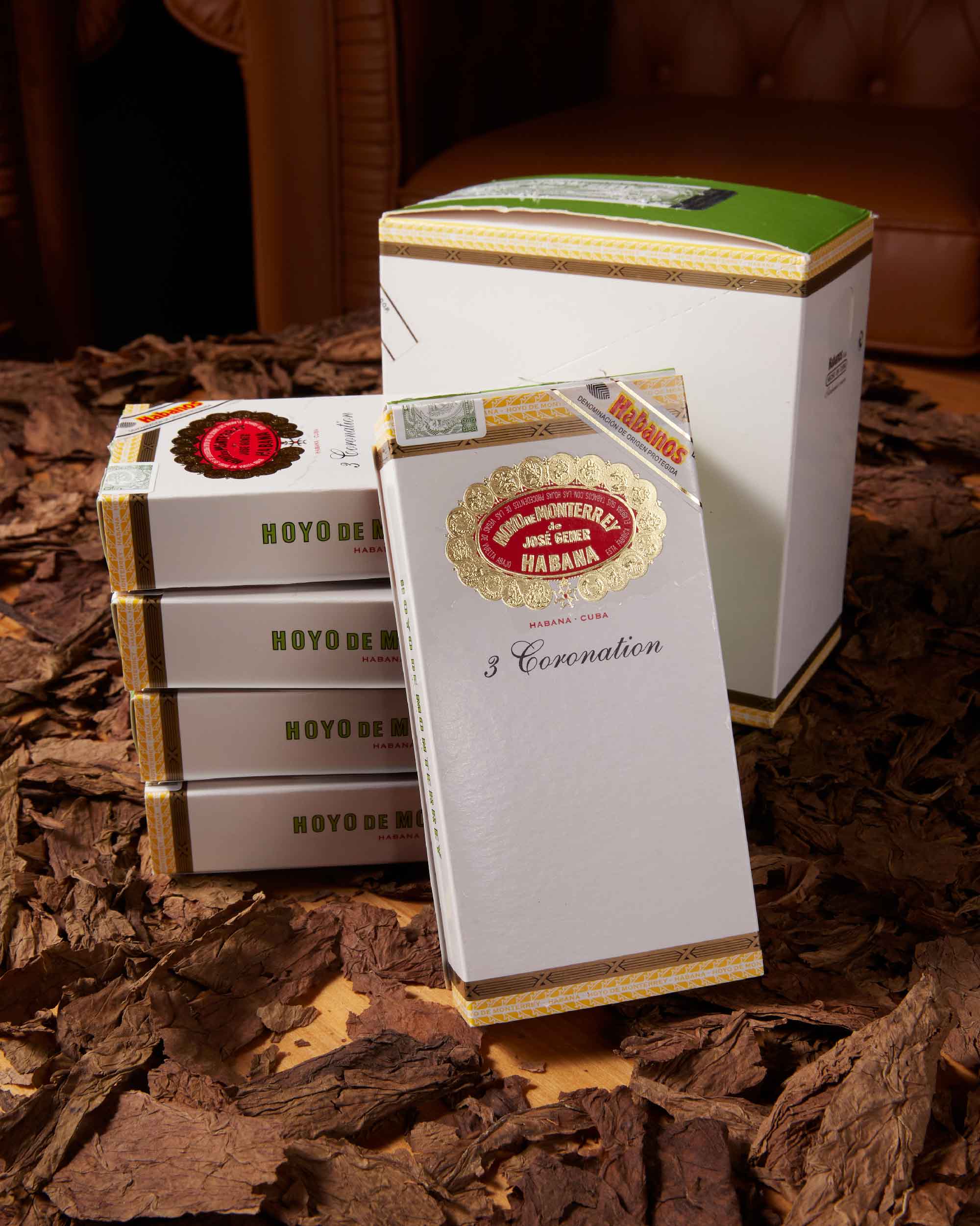 Hoyo de Monterrey Coronation (Tubos) (2013 Vintage)