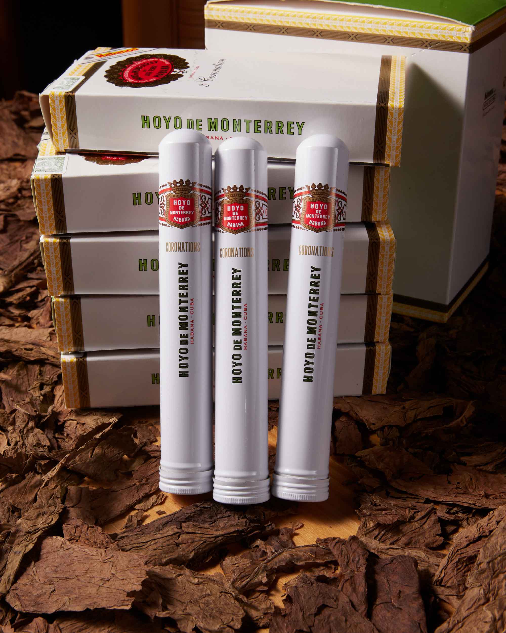 Hoyo de Monterrey Coronation (Tubos) (2013 Vintage)