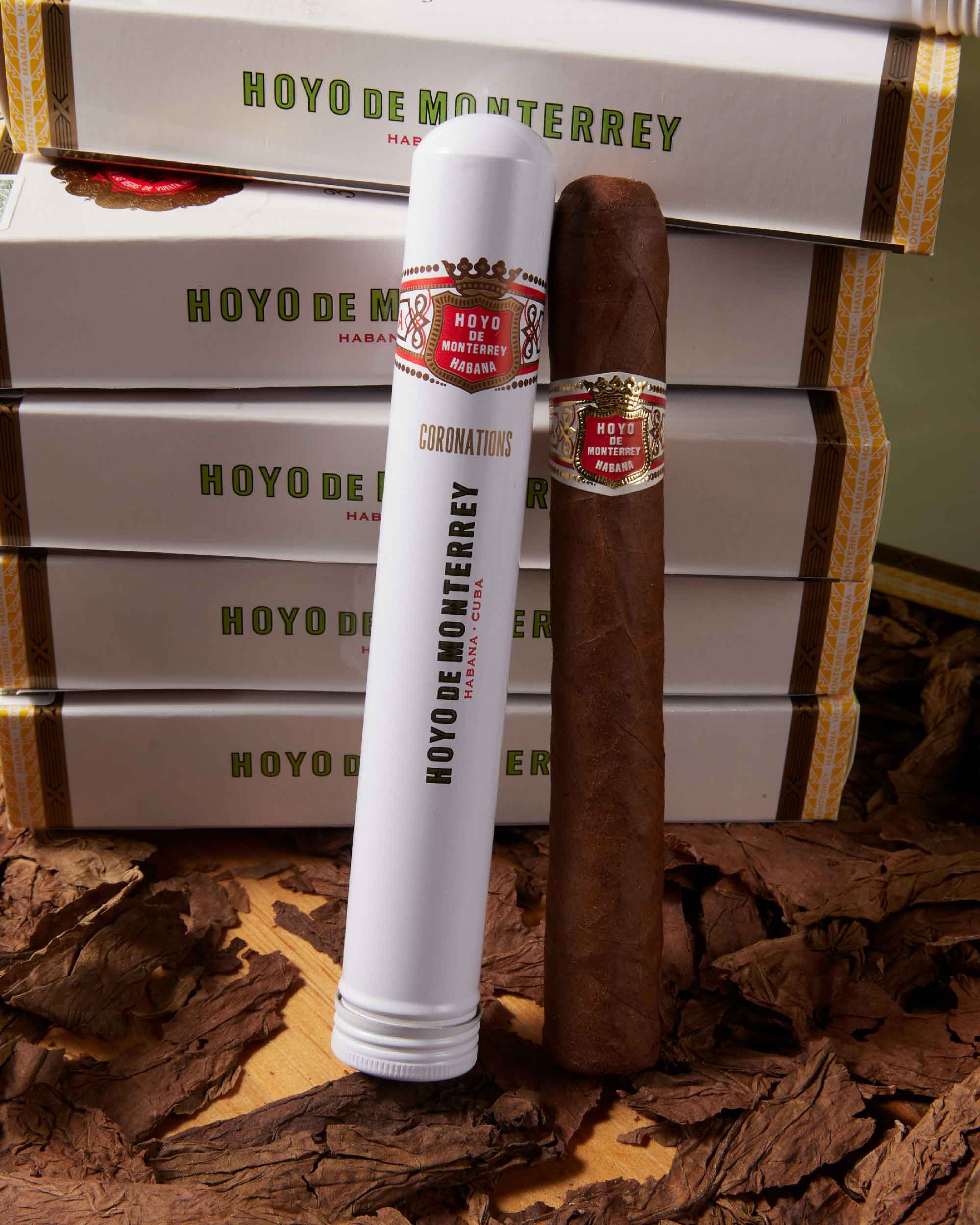 Hoyo de Monterrey Coronation (Tubos) (2013 Vintage)