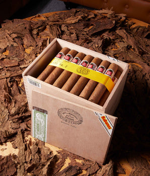 Hoyo de Monterrey Epicure No. 2