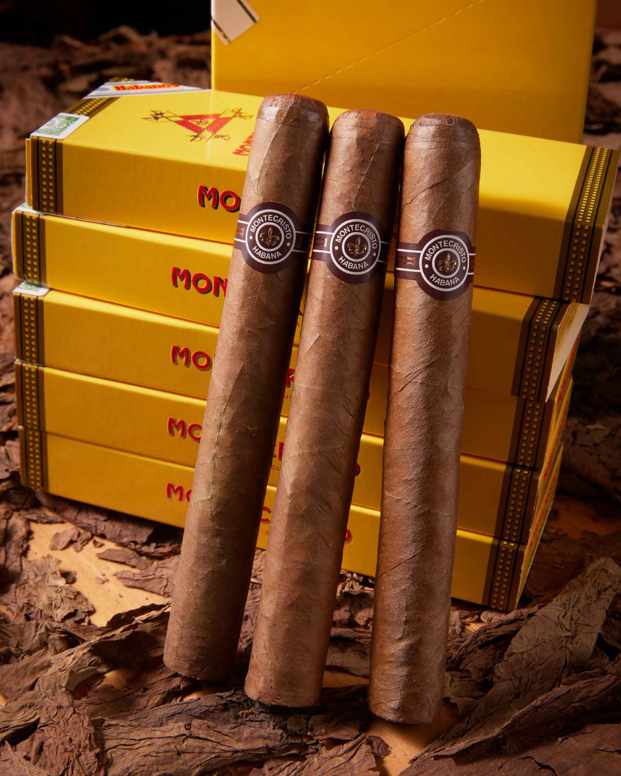 Montecristo Double Edmundo (2014 Vintage)