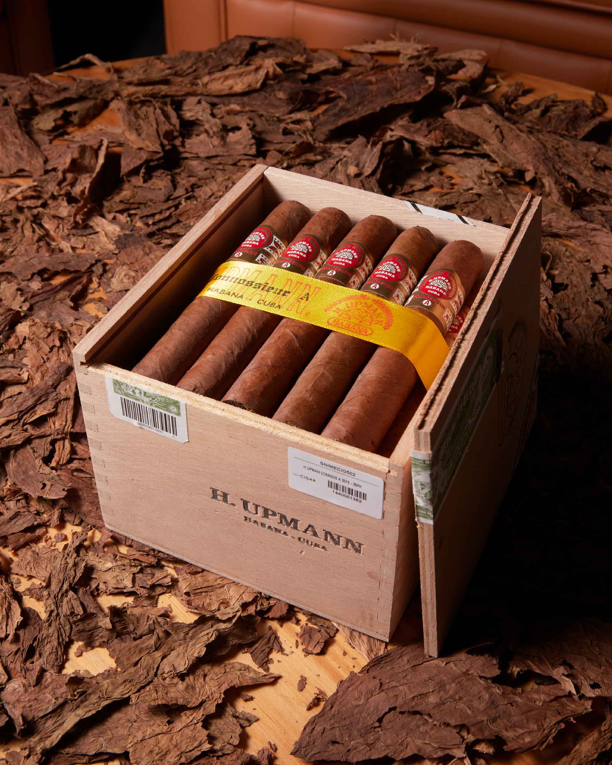 H. Upmann Connoisseur A (2015 Vintage)