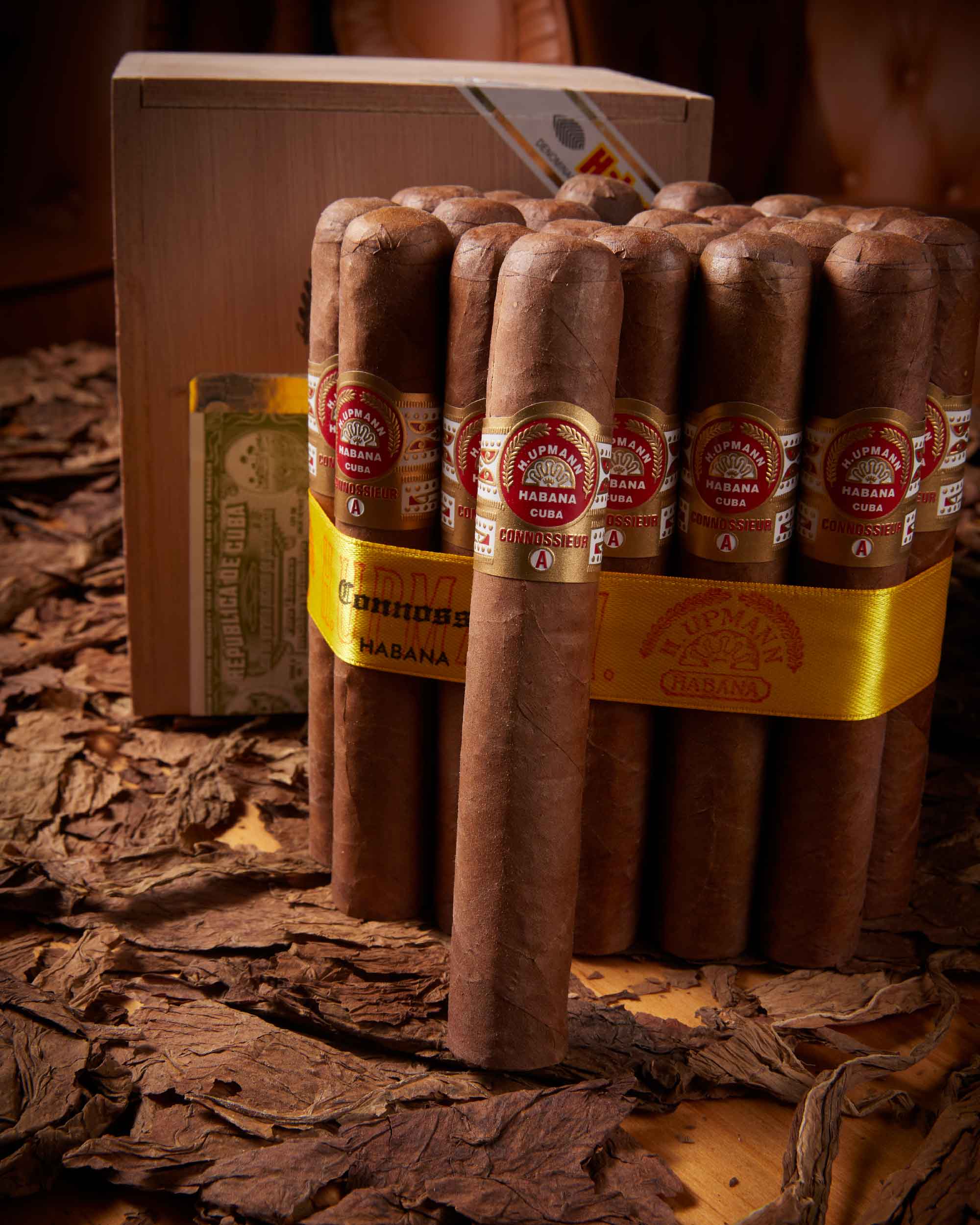 H. Upmann Connoisseur A (2015 Vintage)