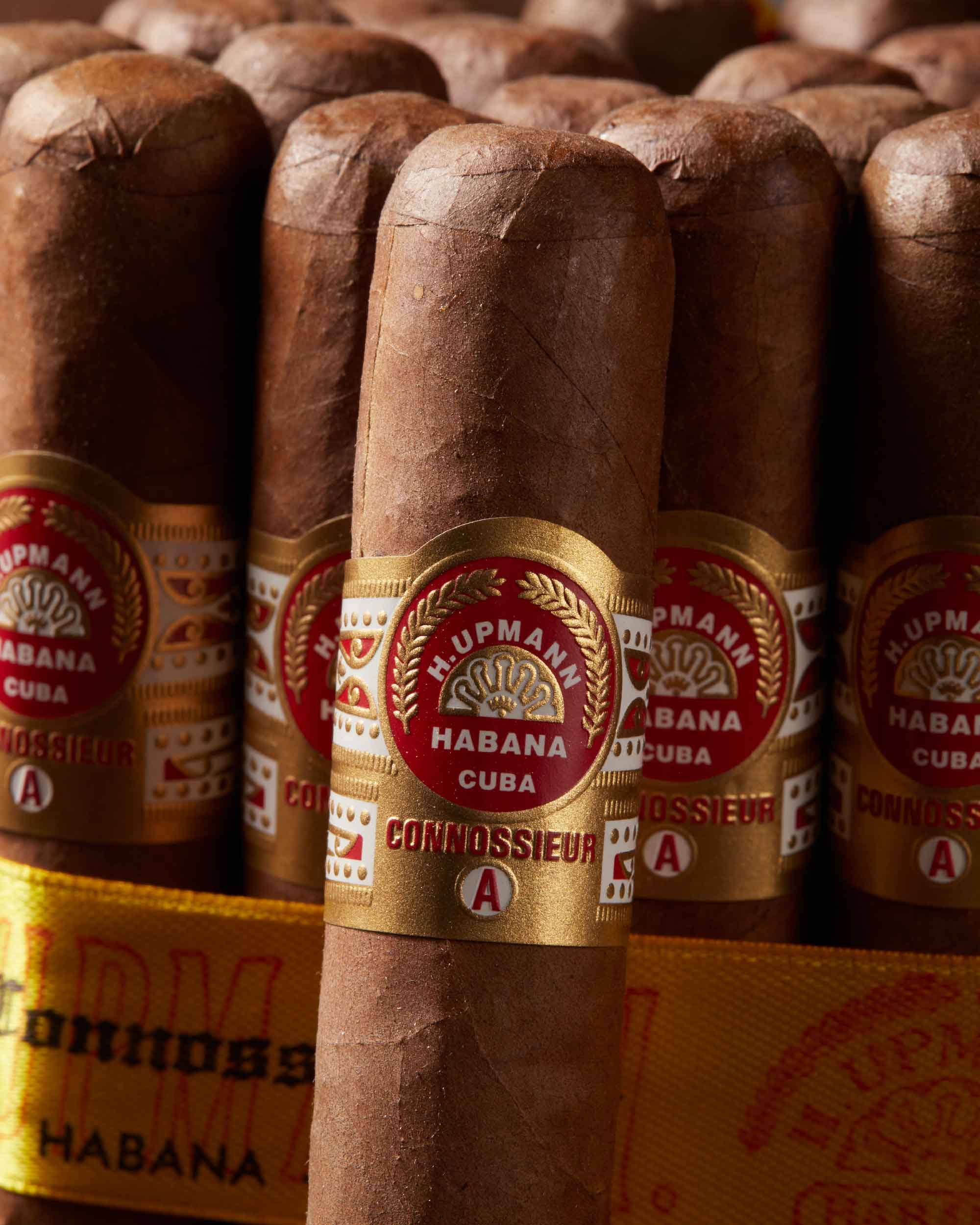 H. Upmann Connoisseur A (2015 Vintage)