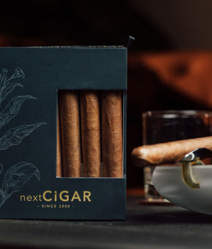 nextCIGAR下壹茄2024周年纪念限量版 绅士型