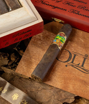 Oliva Master Blends 3 Robusto