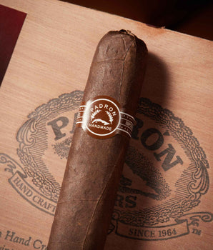 Padr??n 3000 Maduro