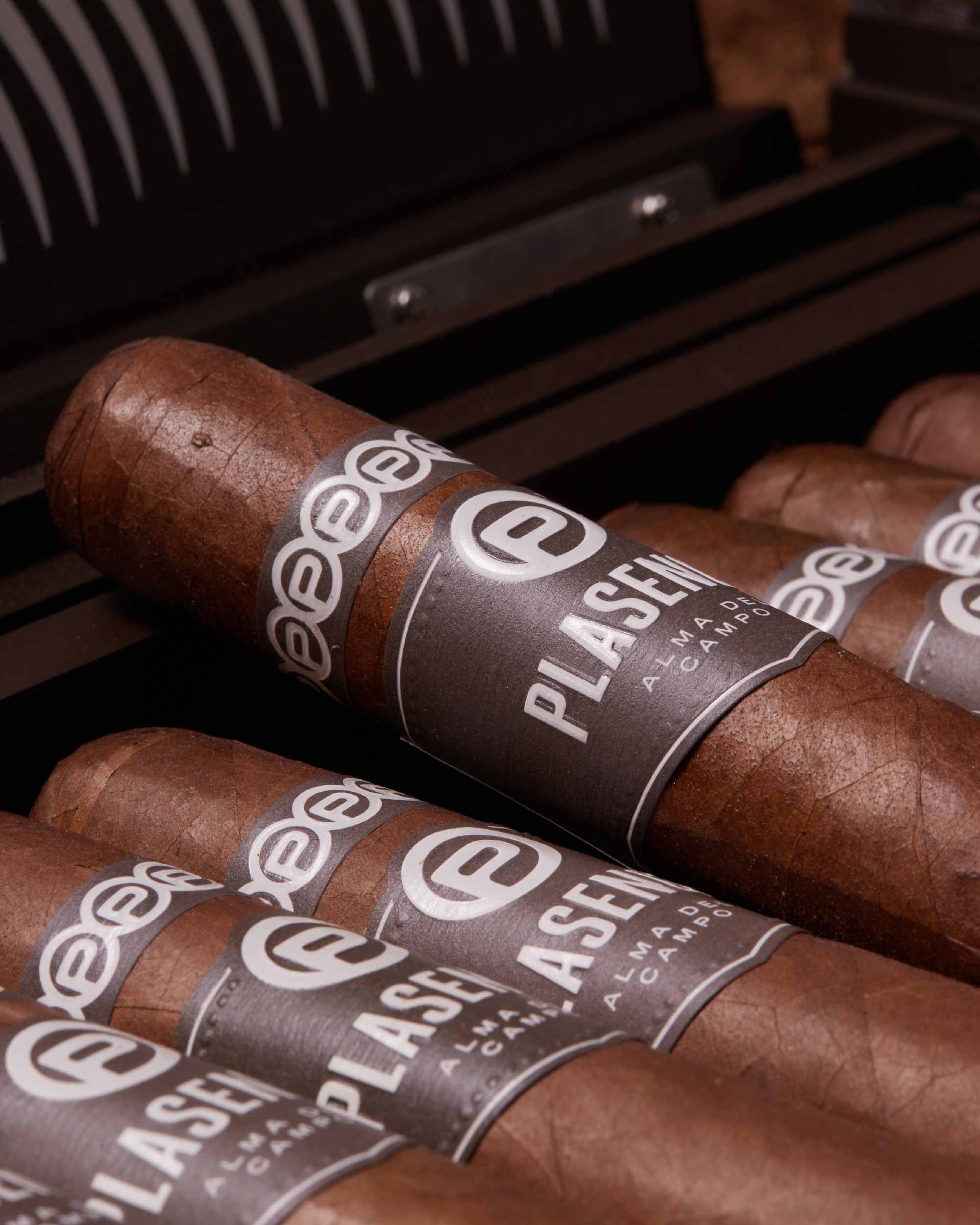 Plasencia Alma del Campo Guajiro Robusto Gordo