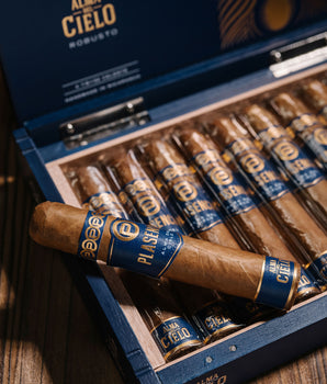 Plasencia Alma del Cielo Celeste (Robusto)